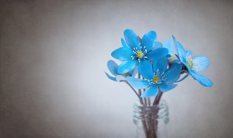 Romantic Wedding Flowers