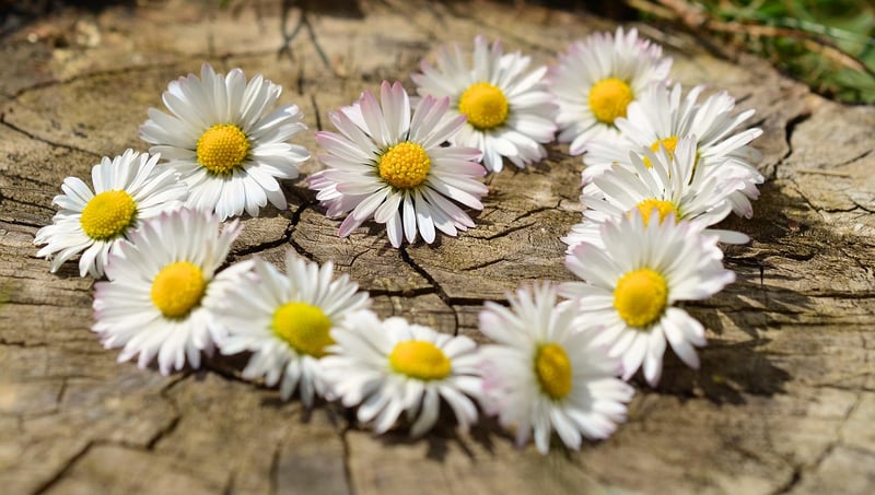 Romantic Hearts